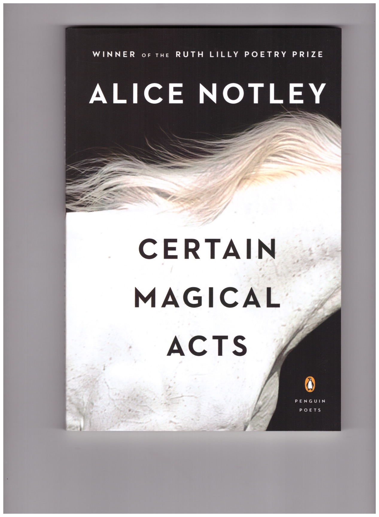 NOTLEY, Alice - Certain Magical Acts